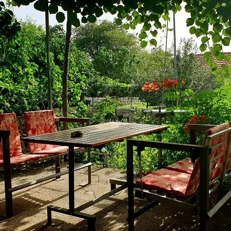 And Minex * تريبينيي