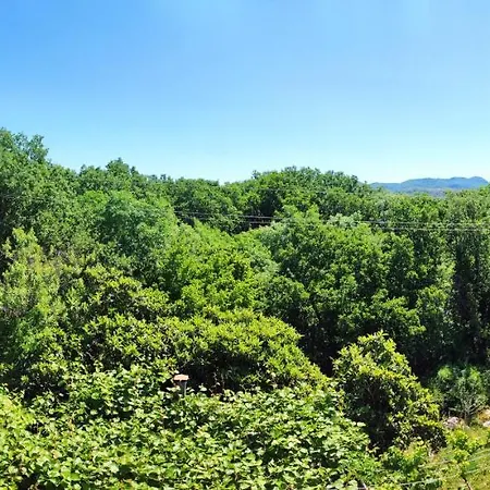 And Minex * تريبينيي