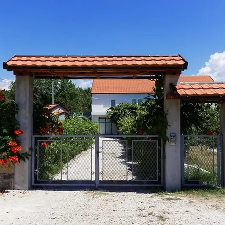 And Minex تريبينيي