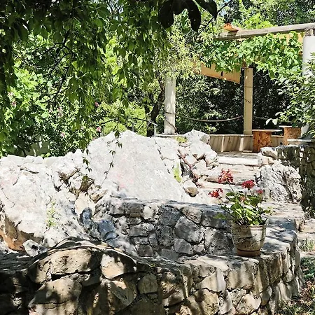 And Minex تريبينيي